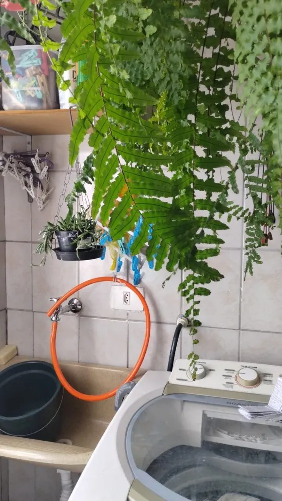 Apartamento, 2 quartos, 51 m² - Foto 3