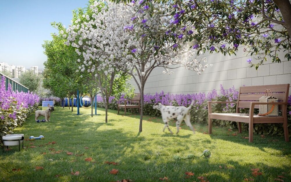 Apartamento, 2 quartos, 45 m² - Foto 3