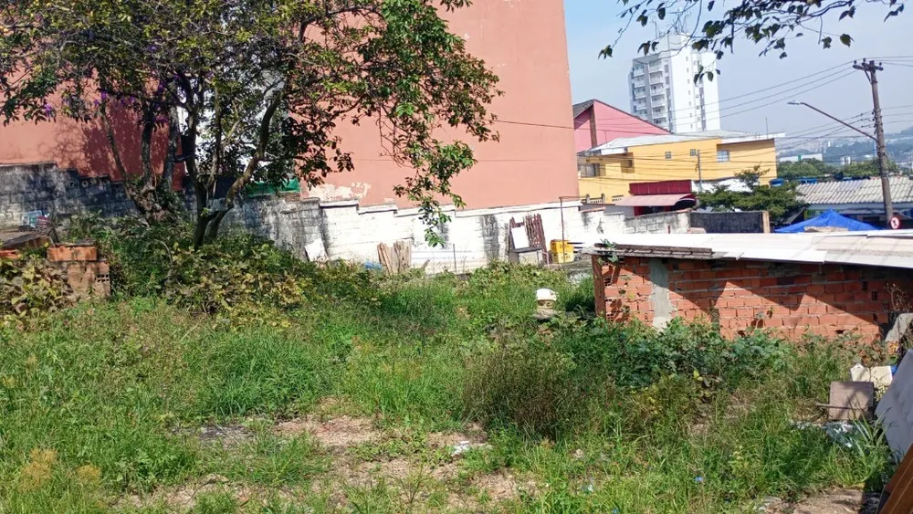 Casa, 3 quartos, 640 m² - Foto 6