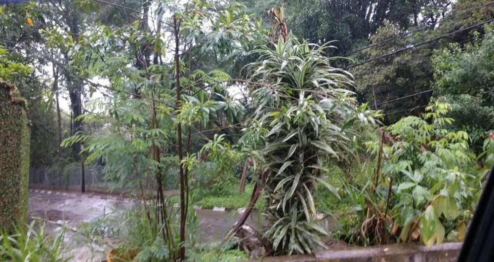 Terreno, 3542 m² - Foto 2