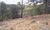 Terreno, 4800 m² - Foto 3