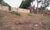 Terreno, 4800 m² - Foto 5