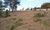 Terreno, 4800 m² - Foto 4