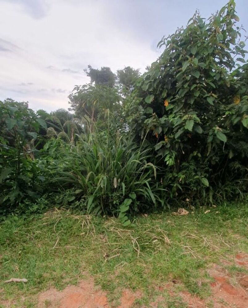 Loteamento e Condomínio, 360 m² - Foto 3