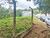 Terreno, 1046 m² - Foto 3