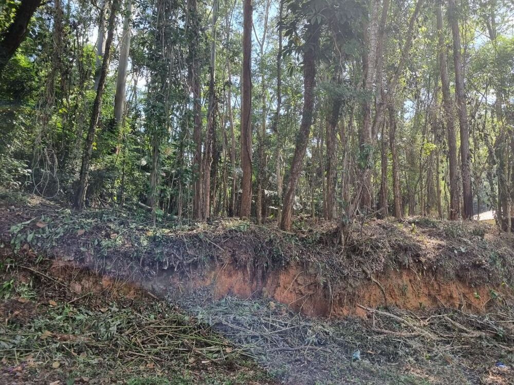 Terreno, 2400 m² - Foto 5