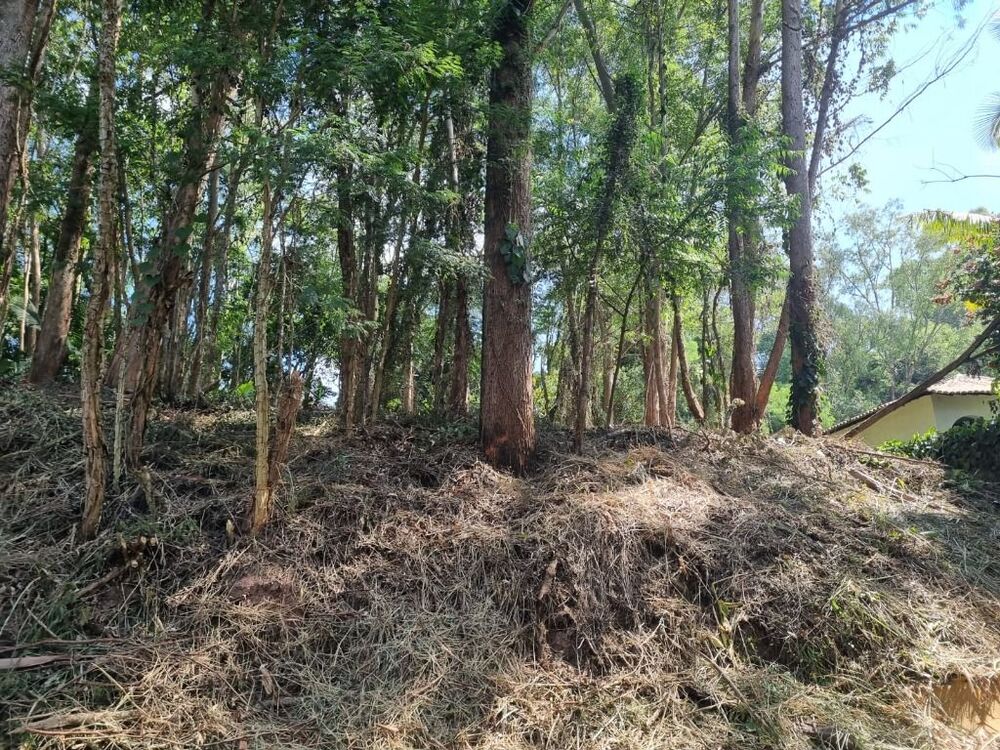 Terreno, 2400 m² - Foto 4