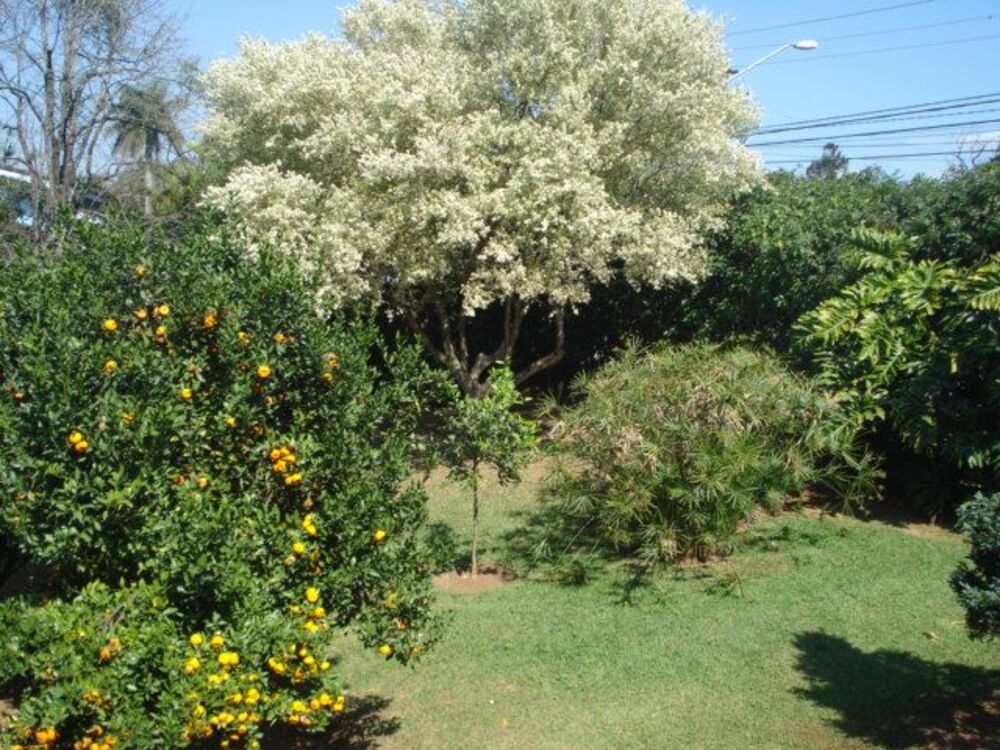 Casa, 3 quartos, 180 m² - Foto 2