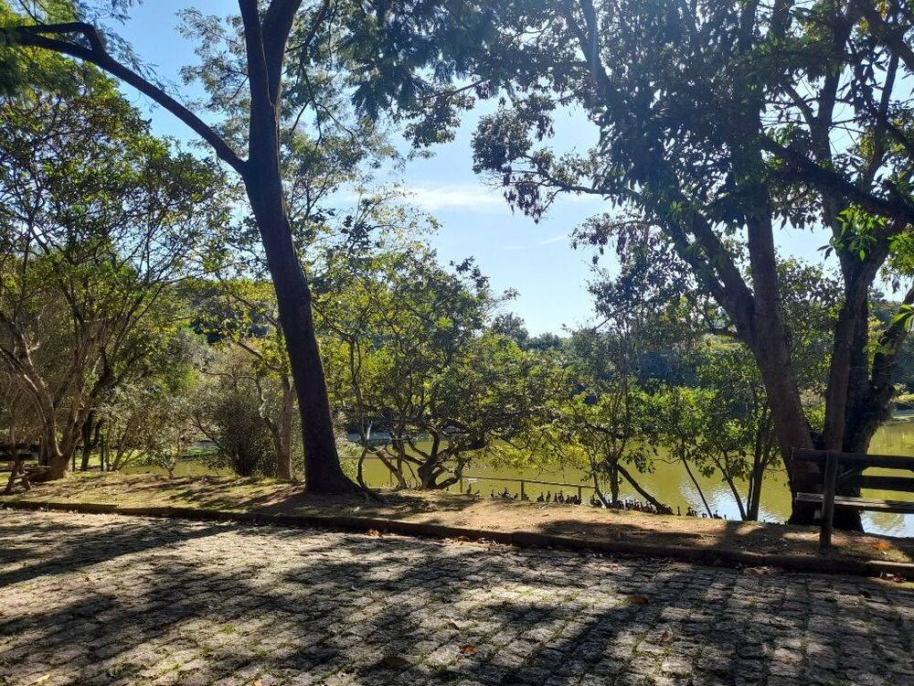 Loteamento e Condomínio, 1000 m² - Foto 7