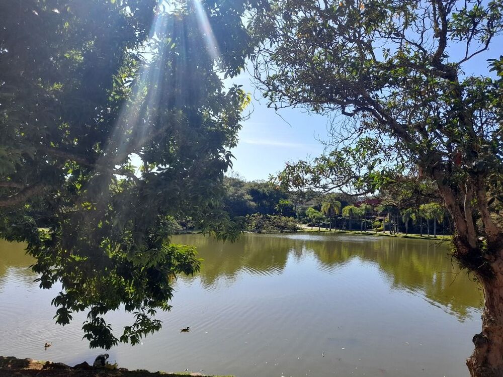 Loteamento e Condomínio, 1000 m² - Foto 1