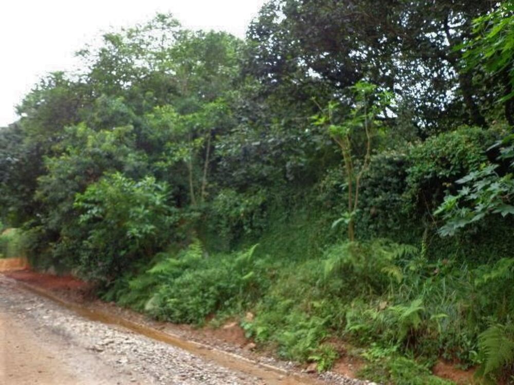 Loteamento e Condomínio, 2497 m² - Foto 2