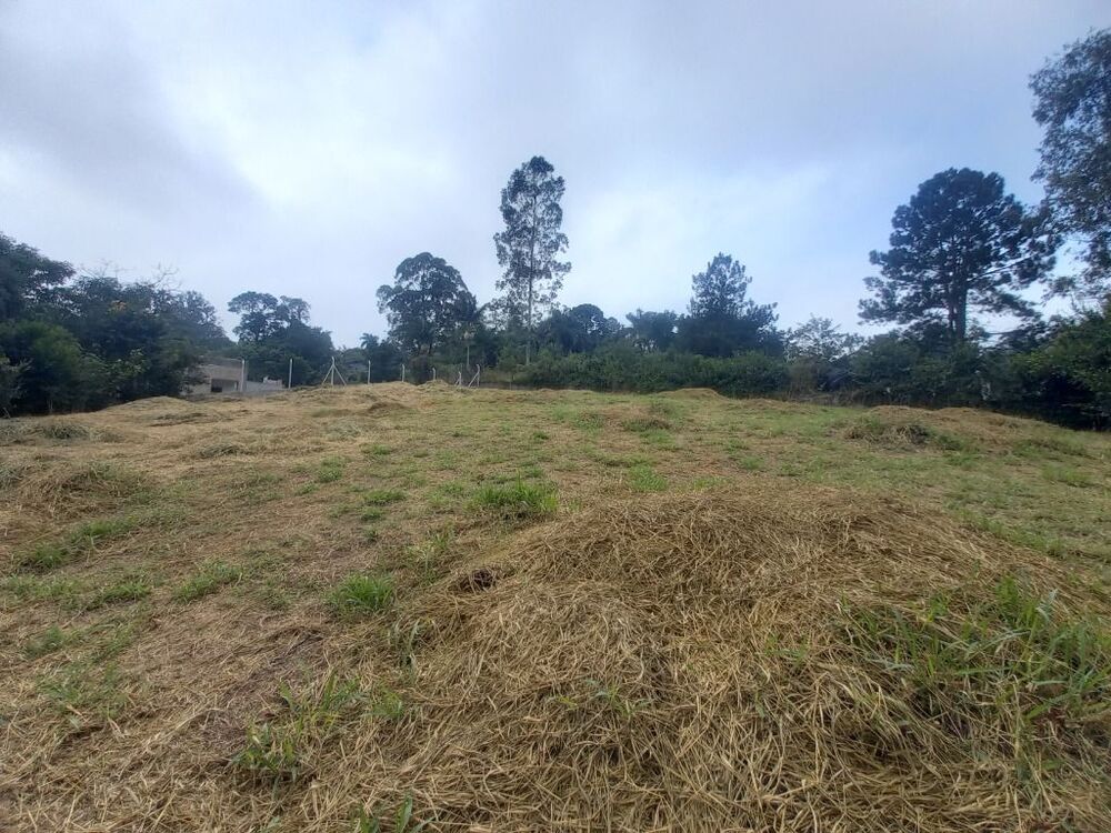 Loteamento e Condomínio, 2520 m² - Foto 6