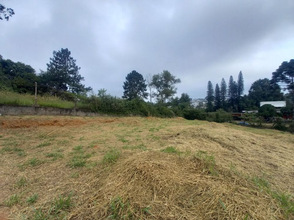 Loteamento e Condomínio, 2520 m² - Foto 5