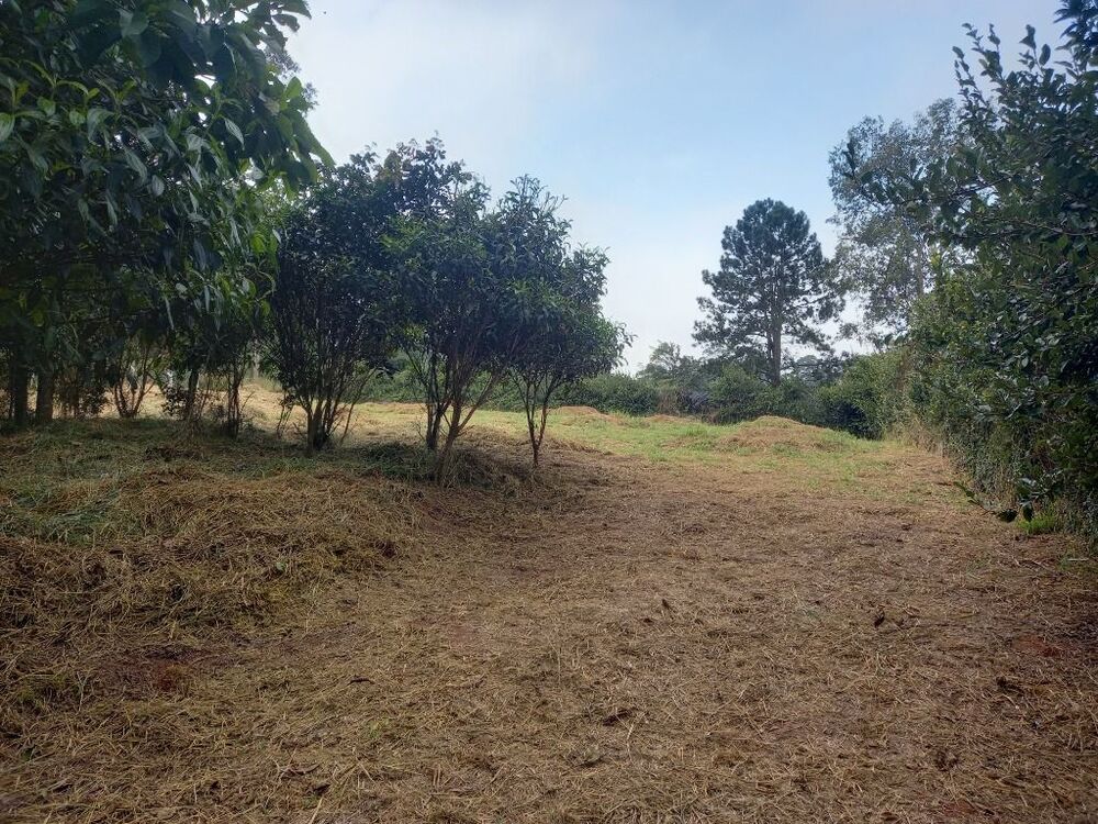 Loteamento e Condomínio, 2520 m² - Foto 1