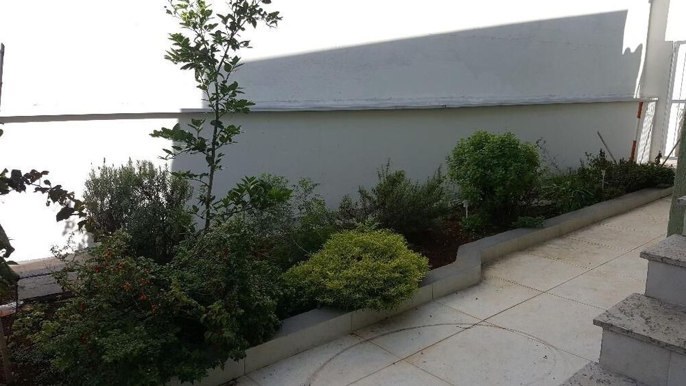 Casa, 2 quartos, 180 m² - Foto 3