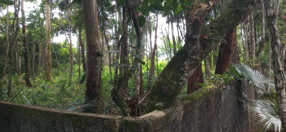 Loteamento e Condomínio, 500 m² - Foto 3