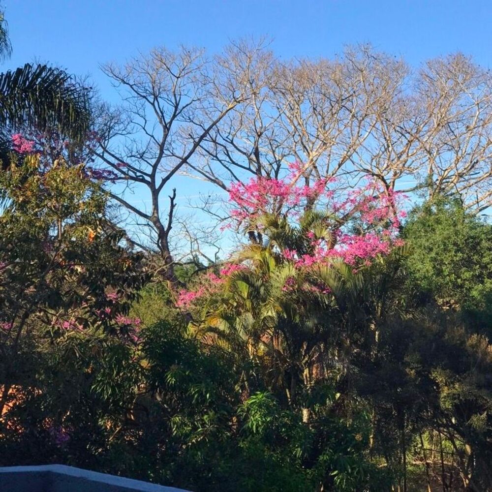 Casa de Condomínio à venda e aluguel com 2 quartos, 300m² - Foto 17