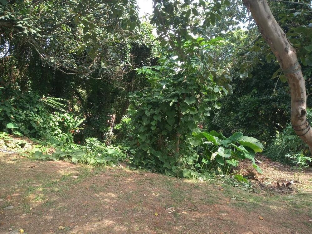 Loteamento e Condomínio, 542 m² - Foto 4