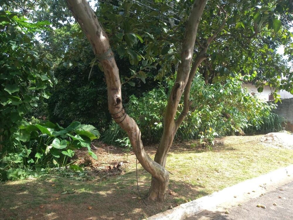 Loteamento e Condomínio, 542 m² - Foto 1