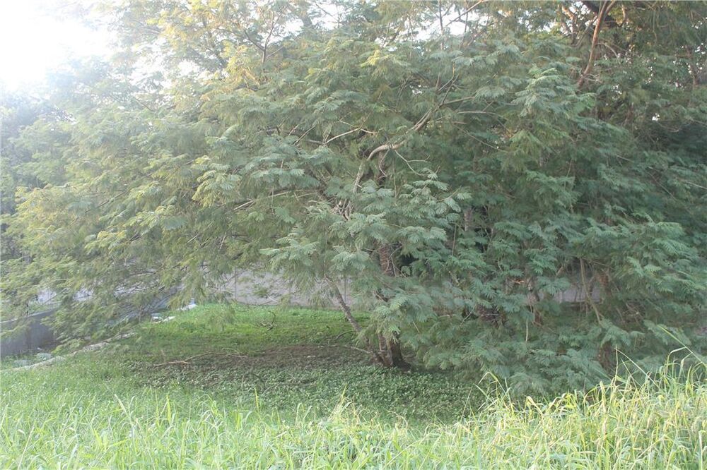 Terreno, 500 m² - Foto 3
