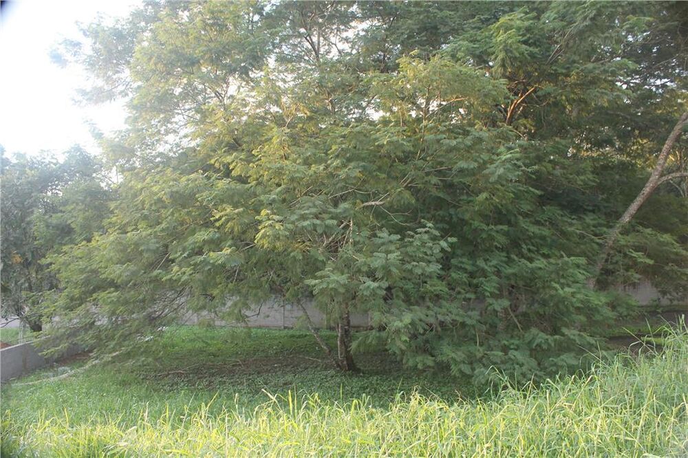 Terreno, 500 m² - Foto 1