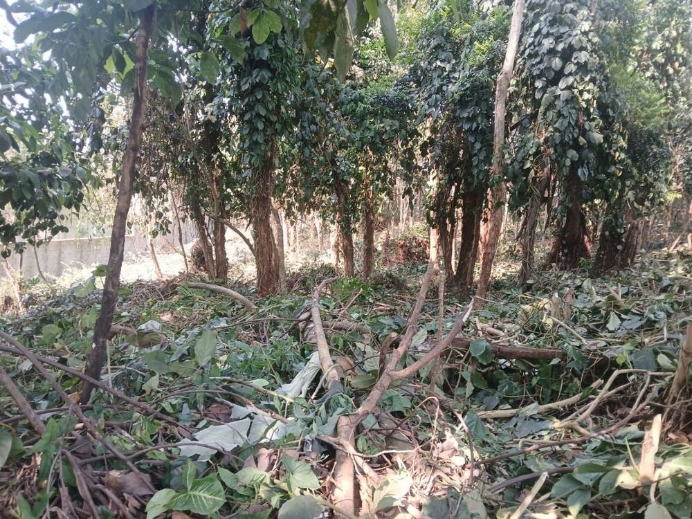 Loteamento e Condomínio, 2000 m² - Foto 6