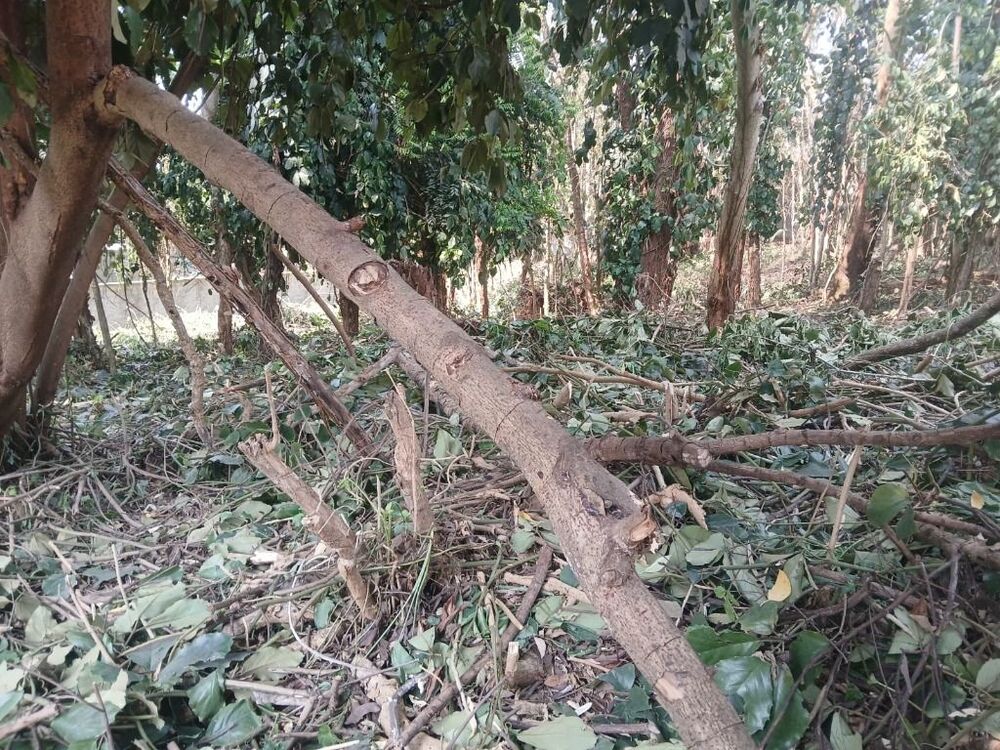 Loteamento e Condomínio, 2000 m² - Foto 2