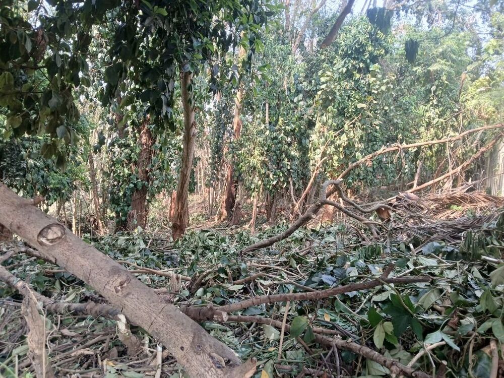 Loteamento e Condomínio, 2000 m² - Foto 3