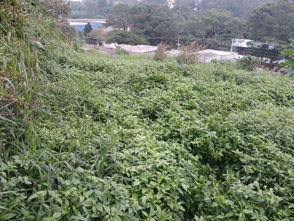 Terreno, 940 m² - Foto 6