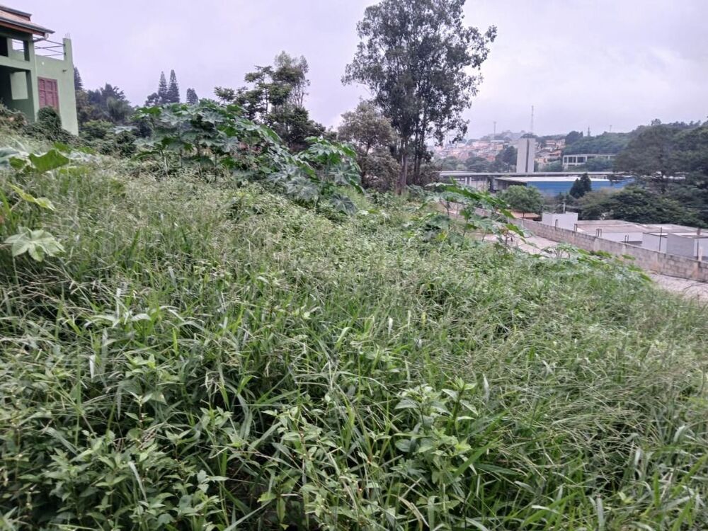 Terreno, 940 m² - Foto 5