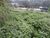 Terreno, 940 m² - Foto 4