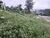 Terreno, 940 m² - Foto 5