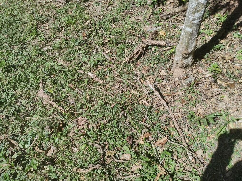 Loteamento e Condomínio à venda, 771m² - Foto 2