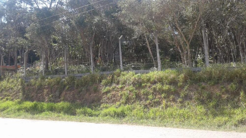 Terreno, 500 m² - Foto 4