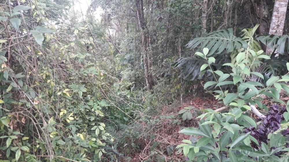 Loteamento e Condomínio, 1560 m² - Foto 4