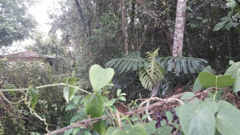 Loteamento e Condomínio, 1560 m² - Foto 5