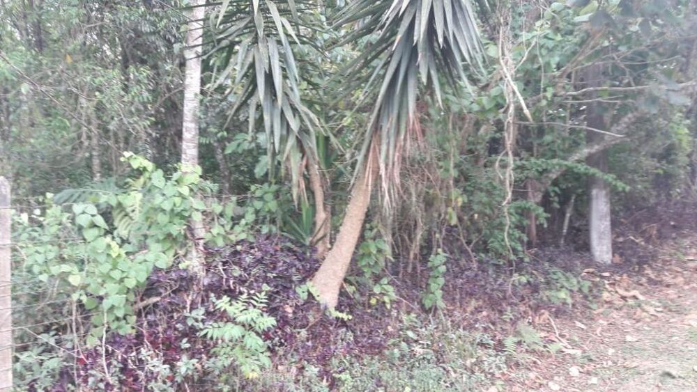 Loteamento e Condomínio, 1560 m² - Foto 2