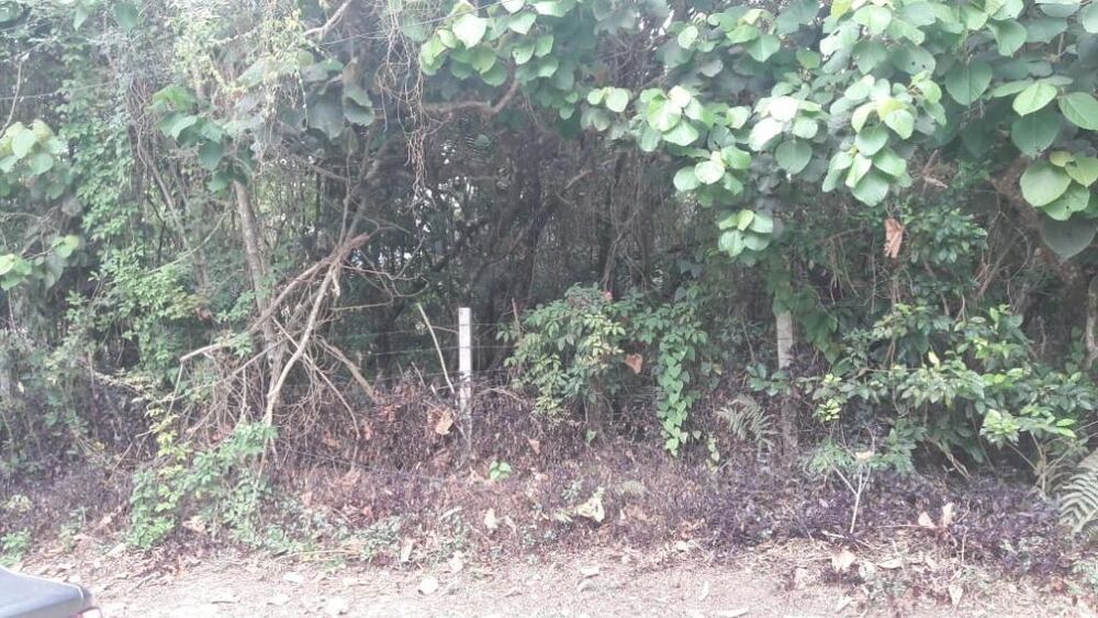 Loteamento e Condomínio, 1560 m² - Foto 1