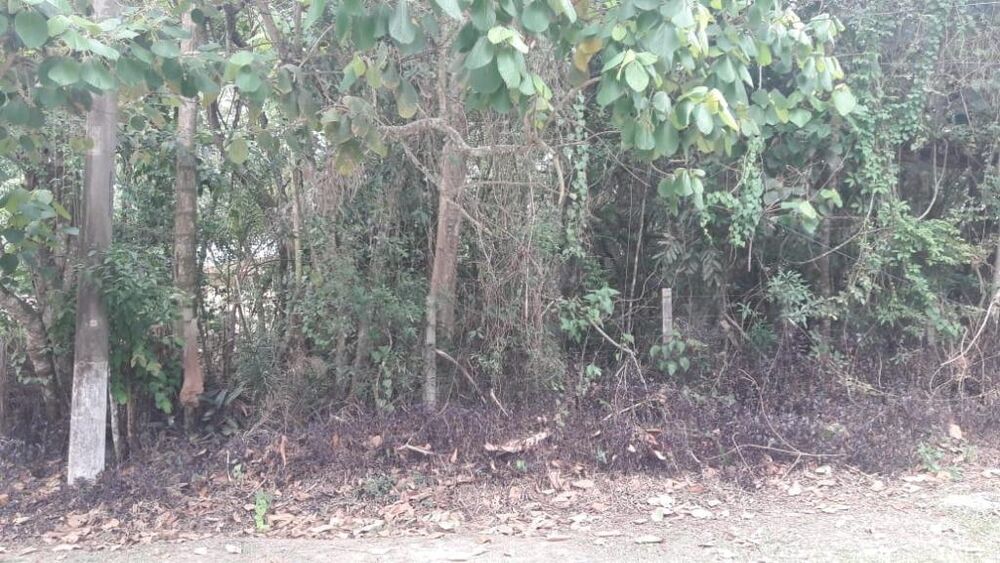 Loteamento e Condomínio, 1560 m² - Foto 3