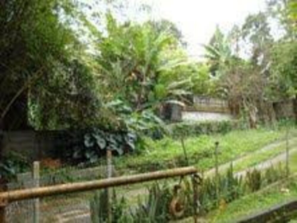 Terreno, 4189 m² - Foto 1