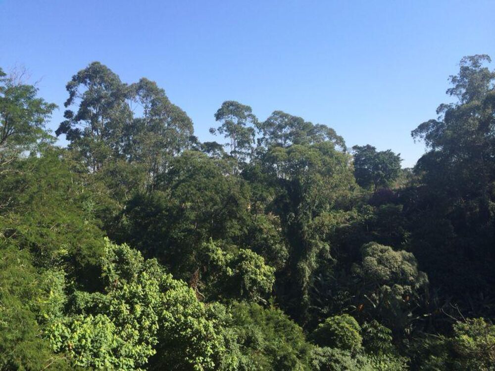 Loteamento e Condomínio à venda, 1000m² - Foto 4