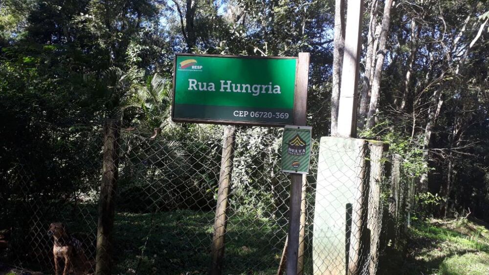 Loteamento e Condomínio à venda, 1500m² - Foto 4
