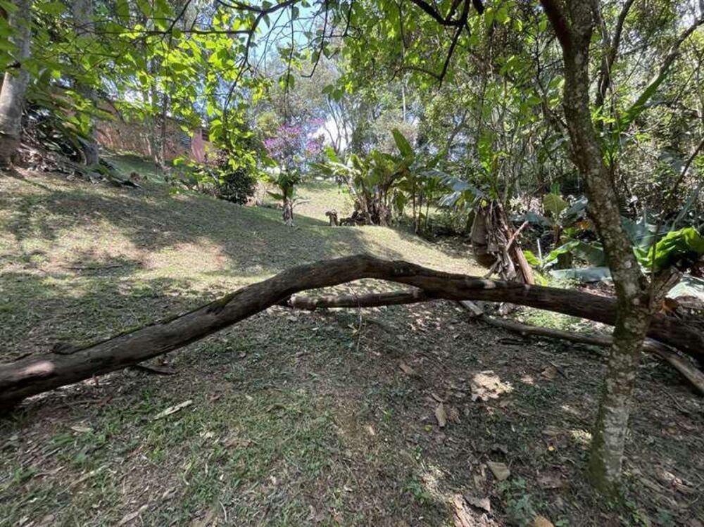 Terreno, 2 hectares - Foto 12