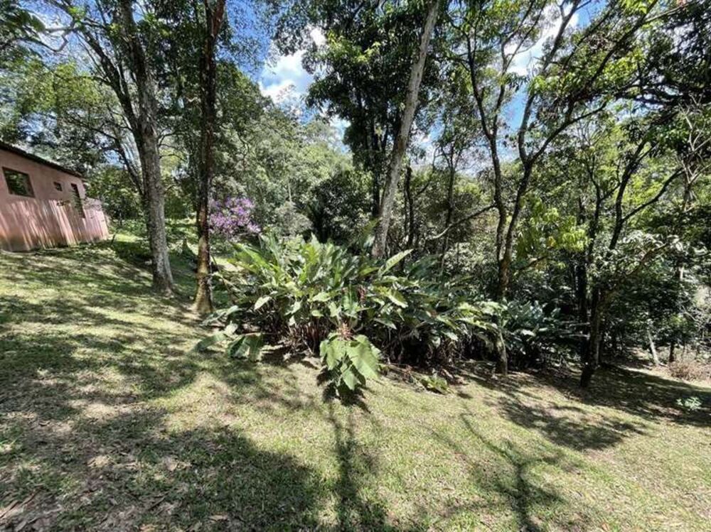 Terreno, 2 hectares - Foto 11