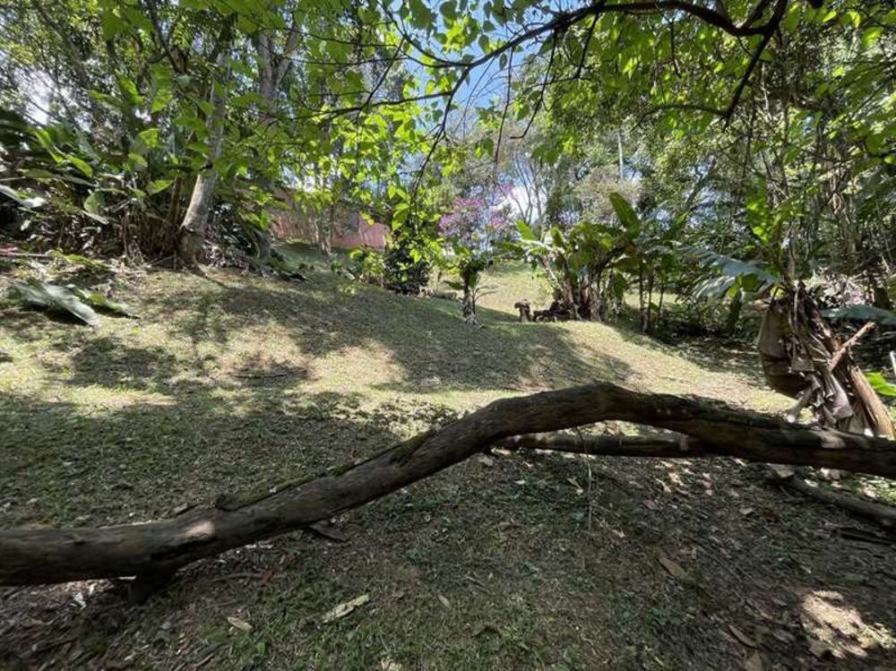 Terreno, 2 hectares - Foto 6