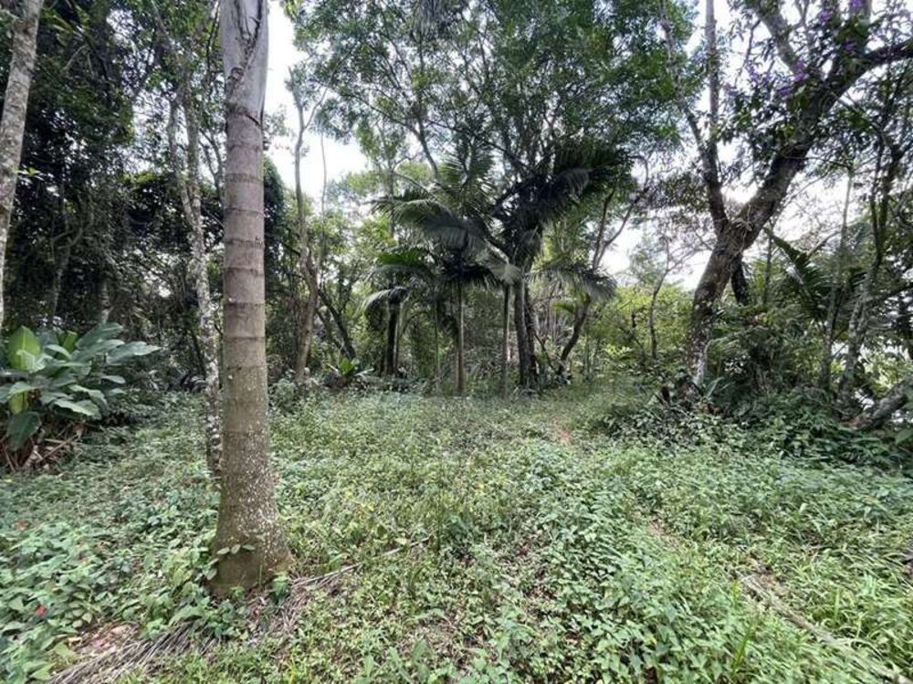 Terreno, 2 hectares - Foto 13