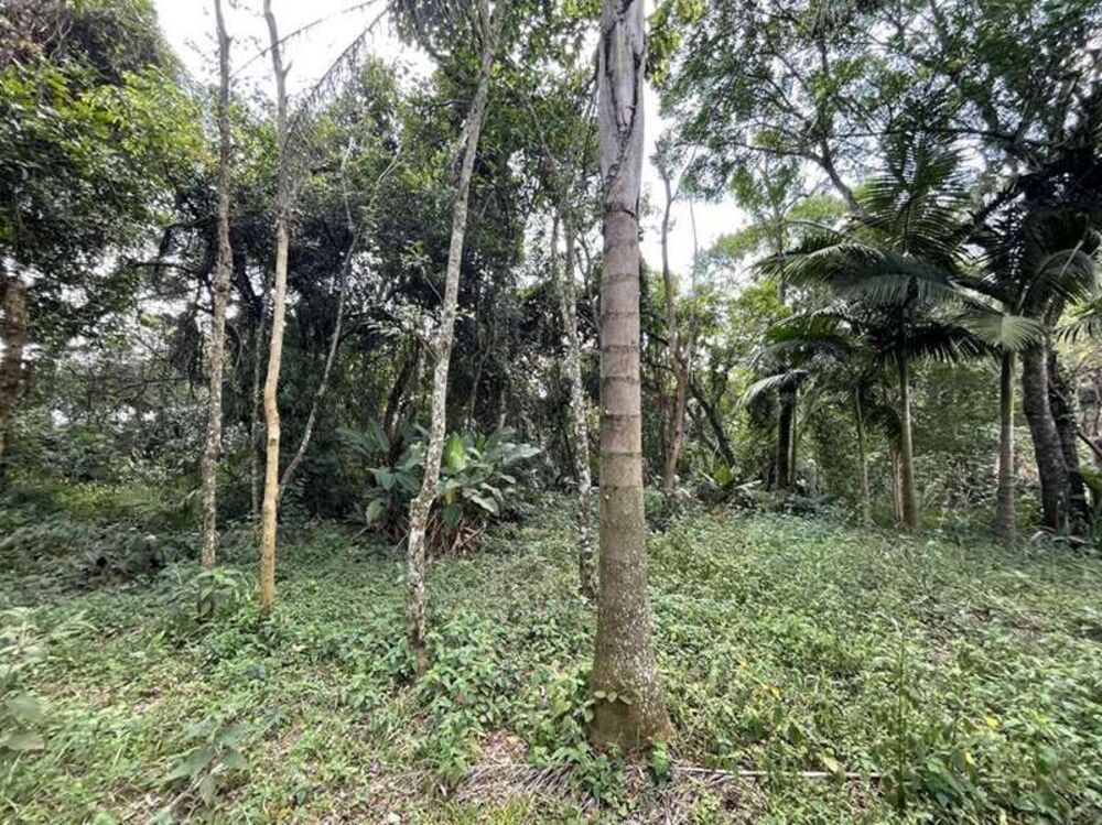 Terreno, 2 hectares - Foto 14