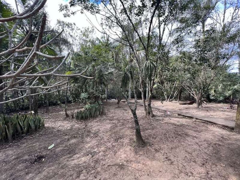 Terreno, 2 hectares - Foto 2