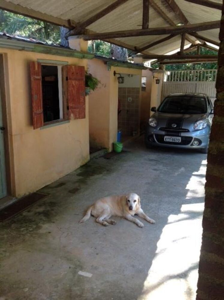 Chácara, 3 quartos, 6400 m² - Foto 7