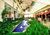 Sala-Conjunto, 40 m² - Foto 8